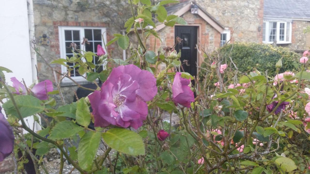 Kingsmede Bed & Breakfast Ventnor Buitenkant foto